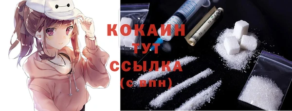 дмт Верея