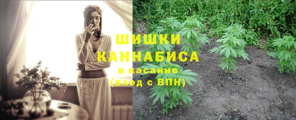 дмт Верея