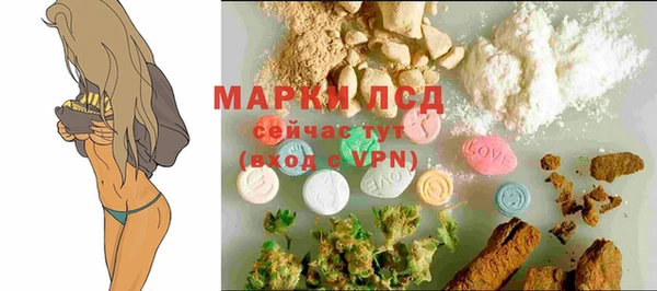 дмт Верея