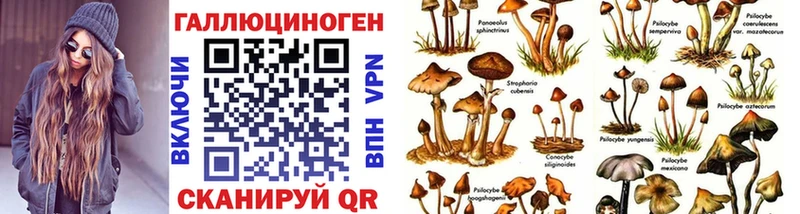 Псилоцибиновые грибы Magic Shrooms  купить наркоту  Новоржев 